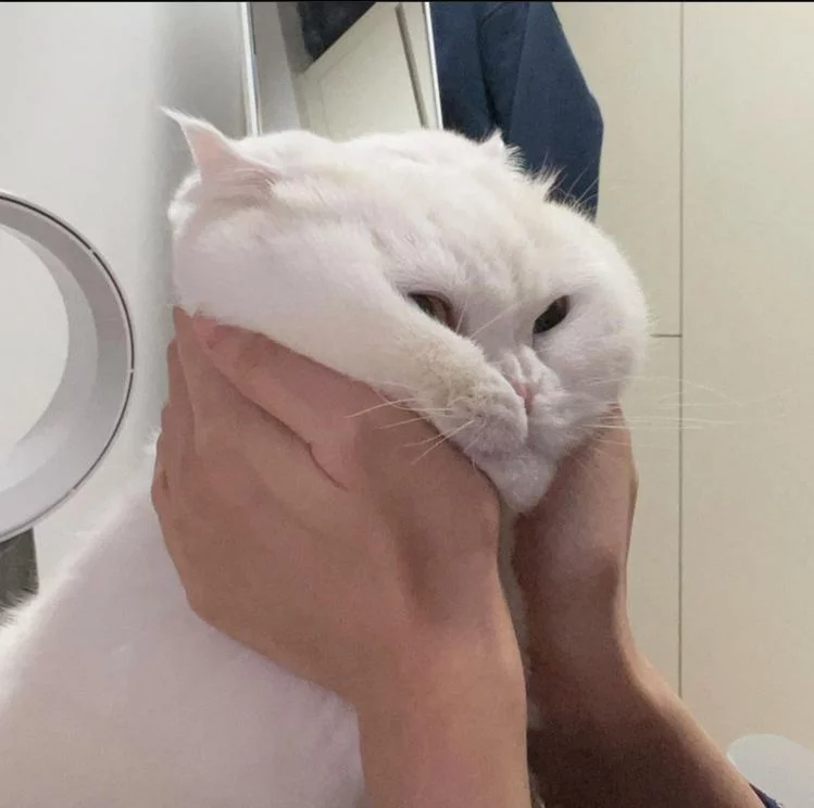 مریم محمدزاده