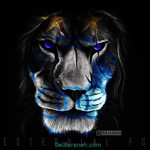 محمد علی سنایی