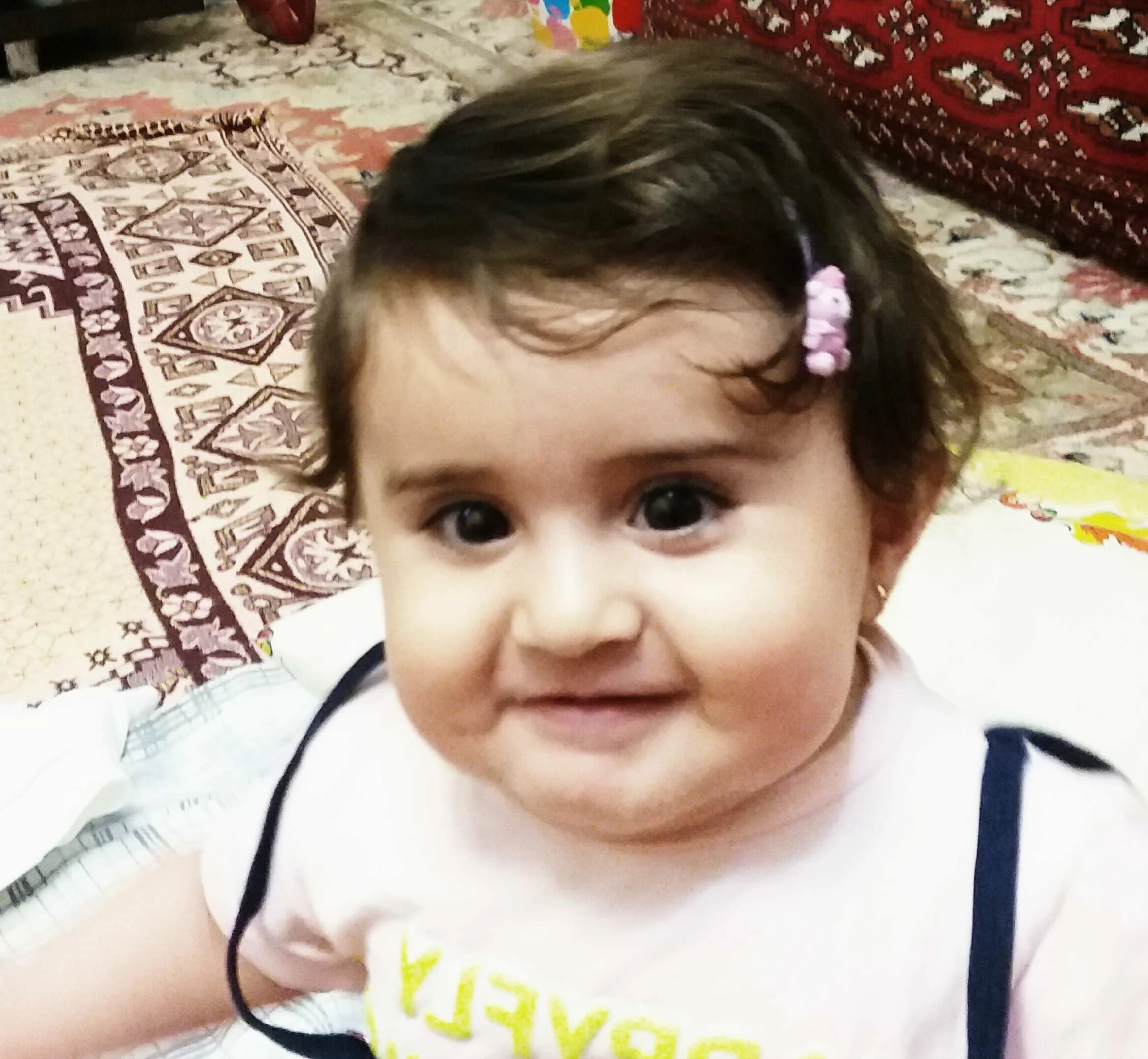 محمود- مسلمی