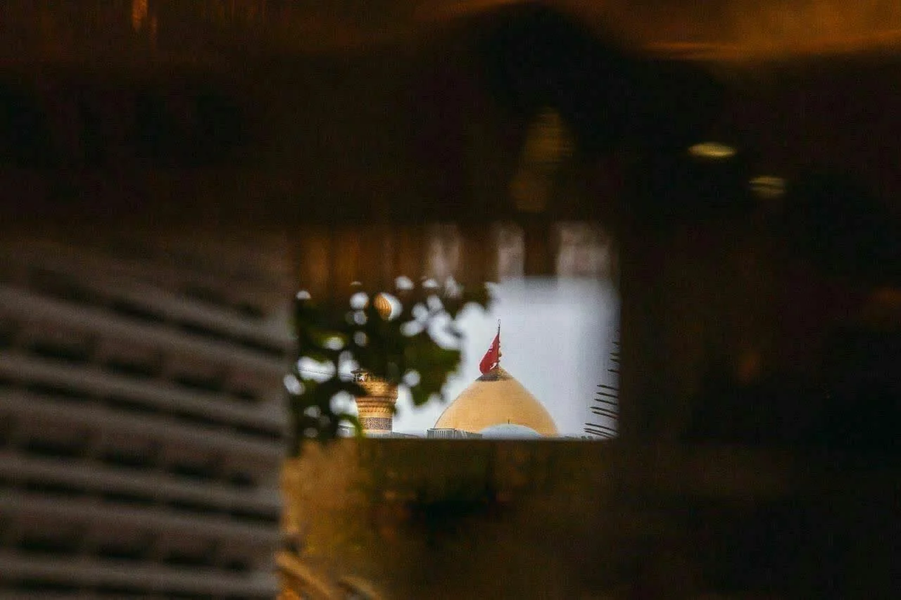 مجنونِ‌رقیه315