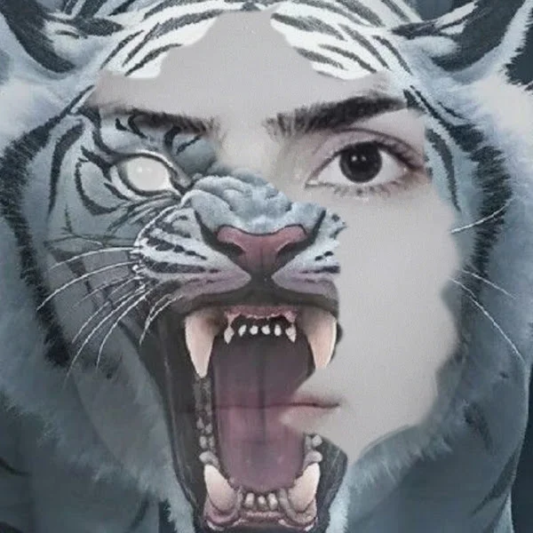 بیگانه(طیبه اسمعیلی بیگی ماهان