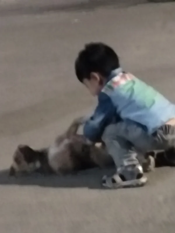 محمد ابراهیم باخدا